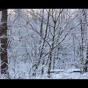 Meet your Posher, Diana